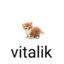 vitalik