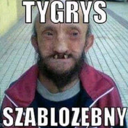 | 𝗡𝗣𝗖 | tygrys