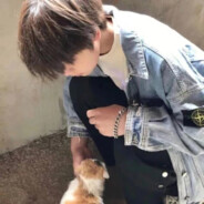 把视角给到花海