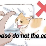 please do not the cat