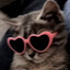 ✦ olliminati