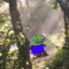 nixpoot