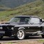 Shelby61