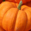 Calabaza