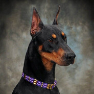 DOBERMAN