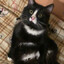 Lelouch