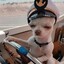 Dog on boat: nasi boober