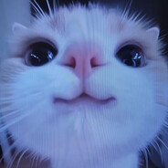vas1oke Steam avatar