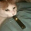 SmokingCyberCat