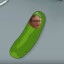 Pickle Tim