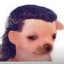 Luis