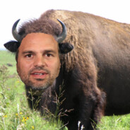 MARK BUFFALO