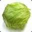 Physical Lettuce