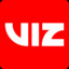 Vizi