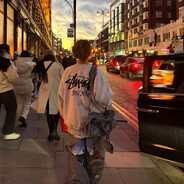 爱上蟑螂的机甲