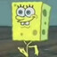 Lil Bob's avatar