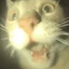 锅