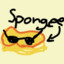 spongee