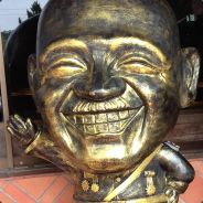 队长我还可以抢救一下