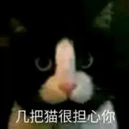 几把猫