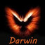 Darwin's avatar