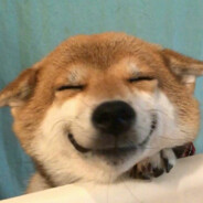 没有枪法也没有她