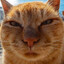 Avatar of Meow