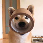 别害羞，快让哥哥的长id进入你娇嫩的视网膜