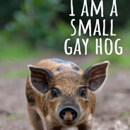 hog_certified Dix_B_floppin