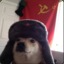 soviet doge