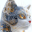 XFrostyCat