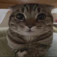 Miko avatar