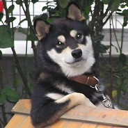 对不住党和人民