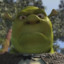 SHREK