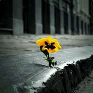 W0lter. - steam id 76561198031632618