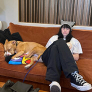 和我散步是正事