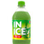 INICE