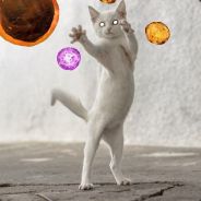 Frynode