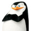 Skipper
