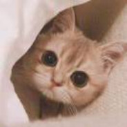 20 year old genius beauty