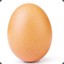 an Egg