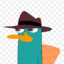 Perry the Platypus