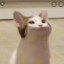 Bulba