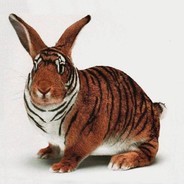 OG | CaptainBunny - steam id 76561197961016648