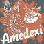 Amedexi