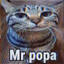 Mr. popa