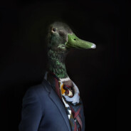 Dapper Duck