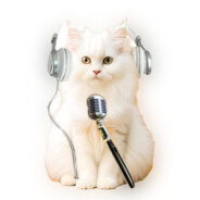 带着耳麦拿着话筒的猫儿