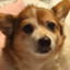 Mr. Woofers