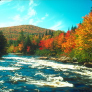 大杰宝真的是太好了